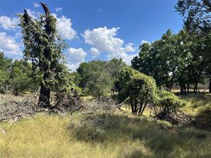 895 County Road 2480 - Photo 14