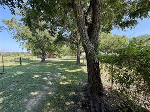 20959 Hwy 281 - Photo 15