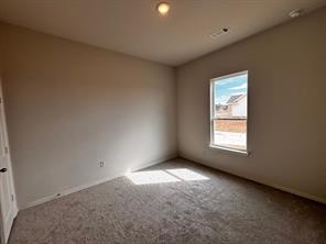 149 Pheasant Run Drive - Photo 10