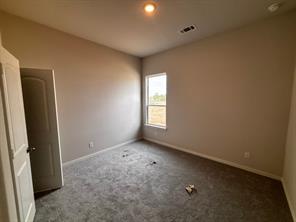141 Pheasant Run Drive - Photo 13