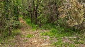 2523 County Road 218 - Photo 24