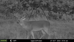 2523 County Road 218 - Photo 33