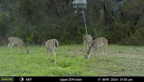 2523 County Road 218 - Photo 34