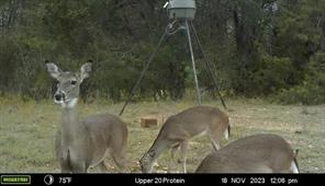 2523 County Road 218 - Photo 35