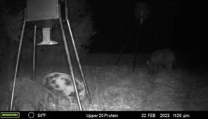 2523 County Road 218 - Photo 36