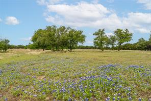 2523 County Road 218 - Photo 7