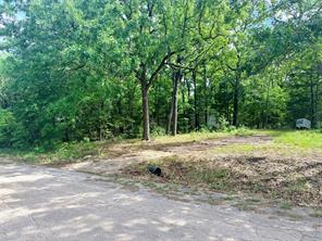 7137 Cayuga Drive - Photo 12