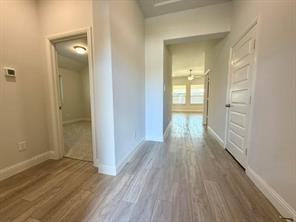 3806 Chicory Court - Photo 2