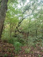 1600 W Day Street - Photo 22