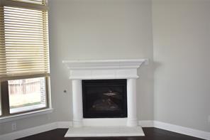 1009 Olivia Drive - Photo 10