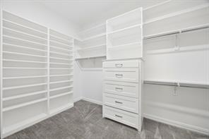 236 Summer Tanager Lane - Photo 19