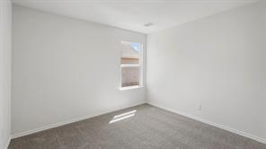 191 Cavalry Lane - Photo 36
